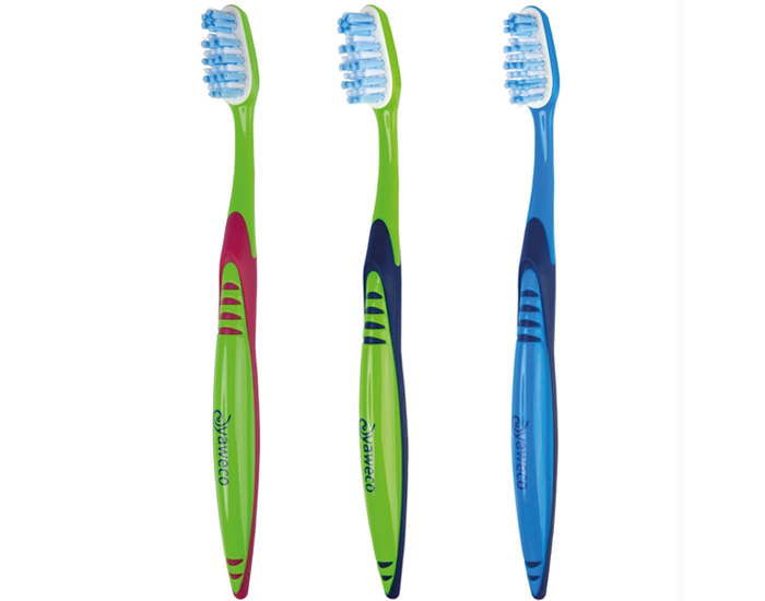YAWECO Brosse  Dents Nylon - Tte Interchangeable - Soft (1)