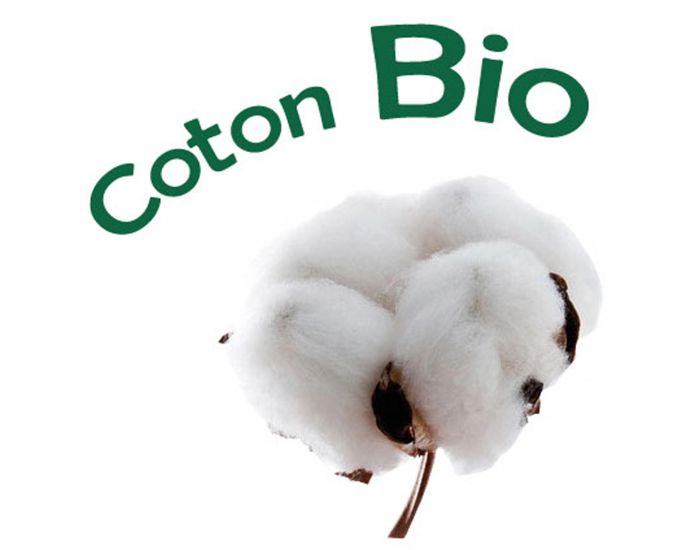 P'TIT BASILE Protge Carnet de Sant Bb - Coton Bio  (2)