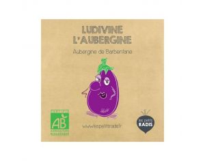 LES PETITS RADIS Mini Kit de Graines Bio - Ludivine l'Aubergine - Ds 3 ans 